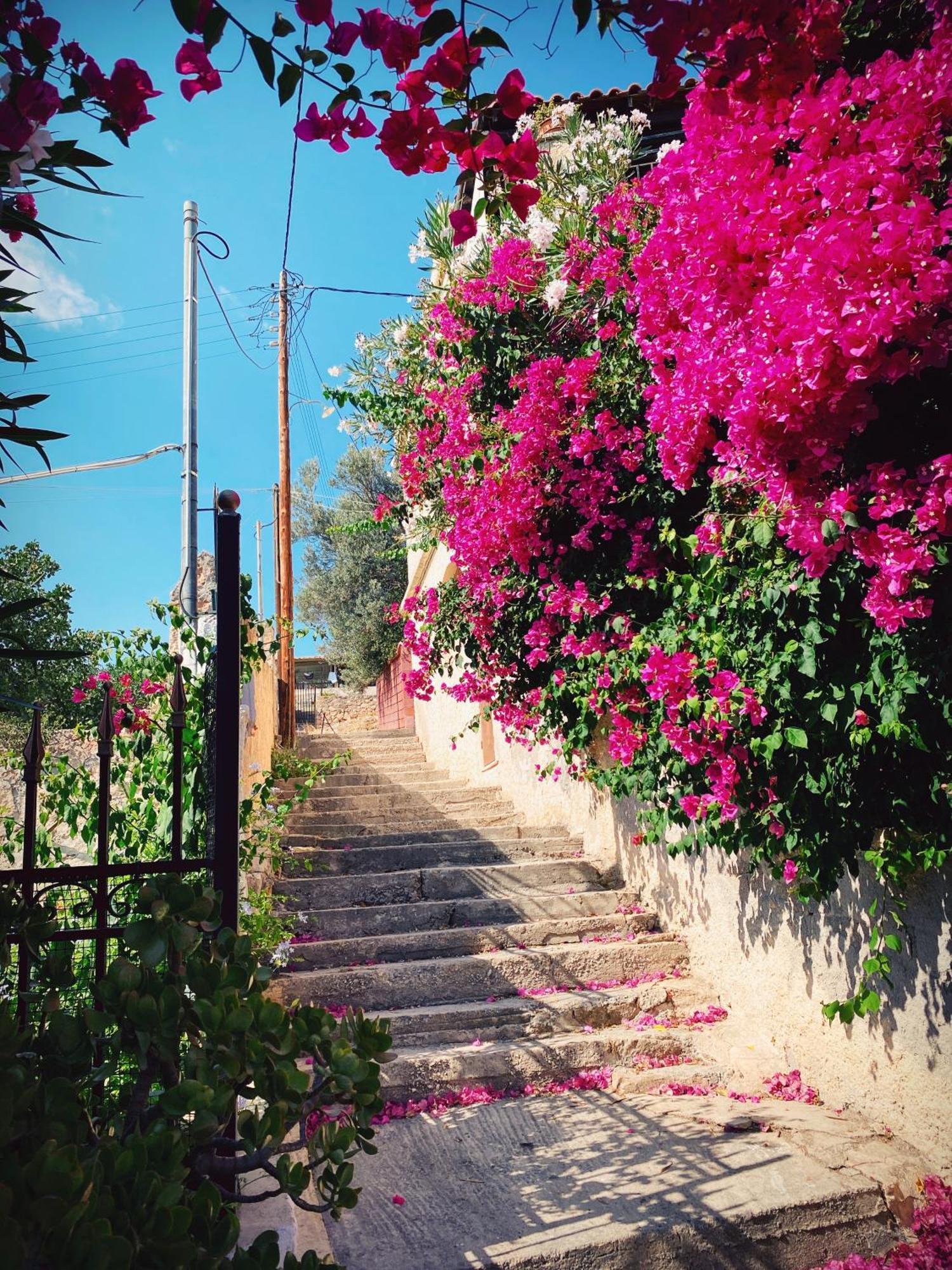 Appartement Vue Sur Mer Soul Family, Egine Aegina Kültér fotó